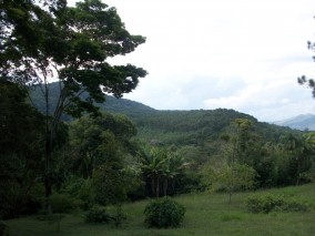 ... uma vista para um verde embriagante, que nos deixam sem ar, apesar do ar puro das montanhas ...